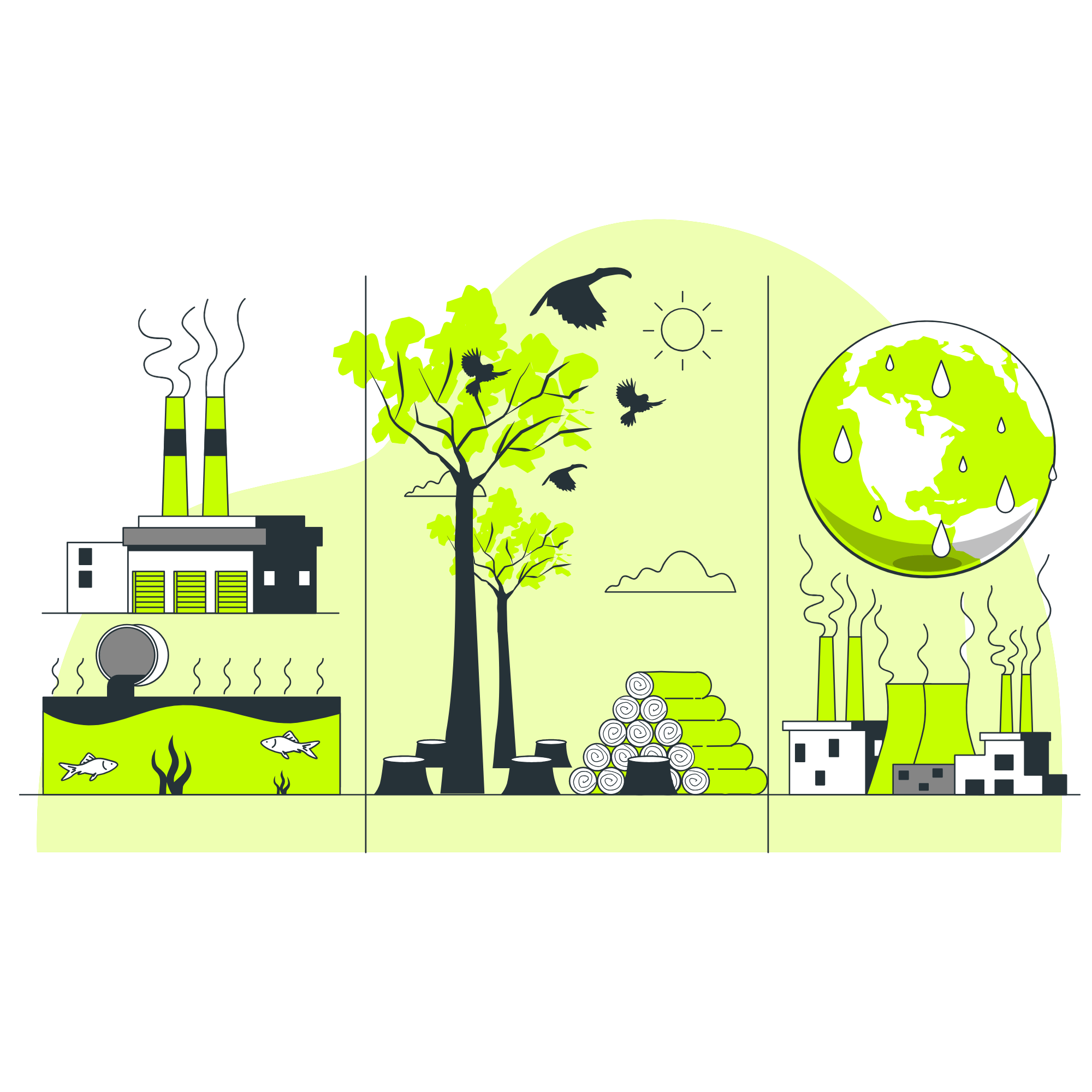 The Hidden Environmental Cost of Business Cards: A Powerful ESG Analysis for B2B Leaders